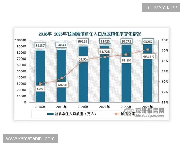 开云网站安全措施详解，保障用户信息安全与支付安全的策略